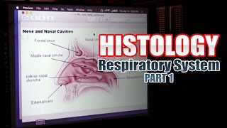 Histology  Respiratory System  Part 1 [upl. by Furr825]