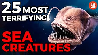 25 Most TERRIFYING Sea Creatures [upl. by Mahsih636]