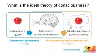 Wk 61 What are the neural correlates of consciousness NCC [upl. by Nerte]