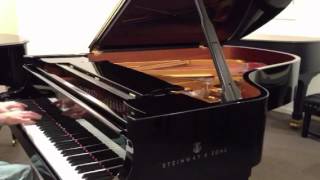 Steinway model B [upl. by Verine]