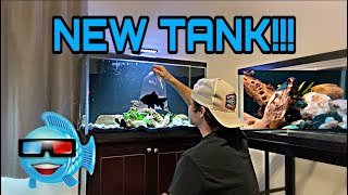 Setting Up a Central American Cichlid Tank fishkeeping fish fishkeeper cichlids aquarium [upl. by Castera878]