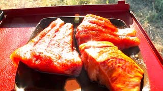 WORLDS GREATEST SALMON RECIPES [upl. by Leary26]