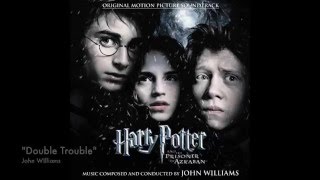 quotThe Beautiful Music of the Harry Potter Seriesquot [upl. by Sophia]