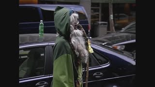 Triumph the Insult Comic Dog roasts us Check out his new comedy special on YouTube [upl. by Birecree]