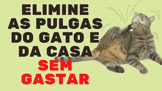 COMO ACABAR COM AS PULGAS DE MANEIRA ECONÔMICA SEM PREJUDICAR O GATO Vida de Gato [upl. by Whitehurst]