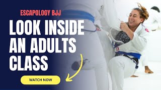 Take Look Inside An Adults BJJ Classes At Escapology BJJ [upl. by Abdel]