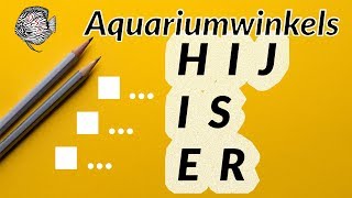 Aquariumwinkels Website is Online   Aquarium Sunshine Valley [upl. by Fernand]