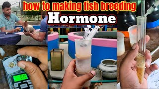 How to making fish breeding hormone at home 2024  process of making fish reproductive hormone [upl. by Isherwood]