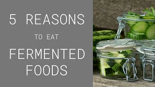 Why eat fermented foods 5 REASONS why they benefit YOU [upl. by Grubman]