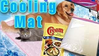 DIY Cooling Mat for Cats and Dogs using CORNSTARCH [upl. by Dragone483]