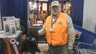 HuntEmUpcom  The Boykin Spaniel from Pheasant Fest [upl. by Rrats]