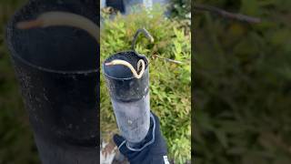 Removing old post light electrician electrical electric bluecollar wire trades explore viral [upl. by Barabas]