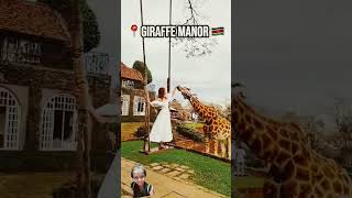 Giraffe manor ziraf entertainment viralvideo shortsviral travel [upl. by Oniram]