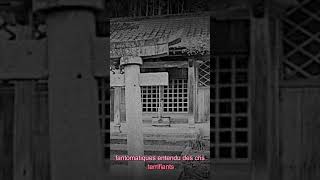 Le Village Hanté de Sugisawa  Massacre et Apparitions Fantomatiques mystère légendesurbaines [upl. by Fausta]