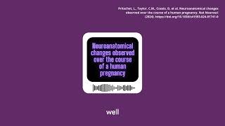 Experimental Gen AI Podcast  Neuroanatomical changes observed over the course of a human pregnancy [upl. by Dorreg]