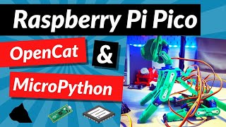 Raspberry Pi Pico OpenCat and MicroPython [upl. by Yadroc495]