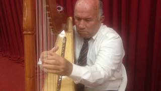 HATIKVA  Paraguayan Harp [upl. by Rdnaskela]