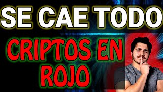 MERCADO CRIPTO SE CAE TODO cómo sigue porque caen las criptos [upl. by Catharine]