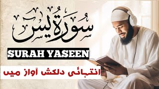 Heart Touching Recitation  Sura Yaseen  سورت یس  Surat yasin beautiful recitation [upl. by Reni]