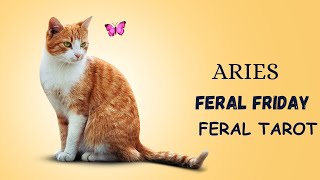 Aries Feral Friday [upl. by Ahcarb]