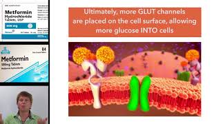 Understanding metformin the only biguanide [upl. by Desimone]