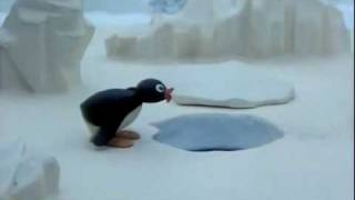 Pingu No [upl. by Odo]