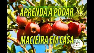 Maçã em Casa Veja como Podar e Organizar para uma boa Produção com Sergio Semerdjian [upl. by Ylsel282]