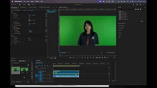 Creating Proxies in Premiere Pro [upl. by Aneehsram]