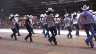 ONE HUNDRED line dance  Wild Country  Voghera 2017 [upl. by Elakram]