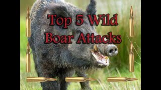 Top 5 Wild Boar Attacks 2020 Best Wild Boar Hunting [upl. by Nyer]