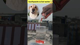 Toothpaste Vs Hot water experiment experiment idea art new explore satisfyingvideo [upl. by Legra240]