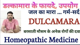 dulcamara homeopathic medicine uses in hindi  Dulcamara 200 Uses in Hindi  Dulcamara 30 in Hindi [upl. by Munn]