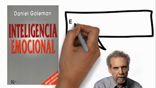 Daniel Goleman on what it takes to be a great leader [upl. by Nymsaj]