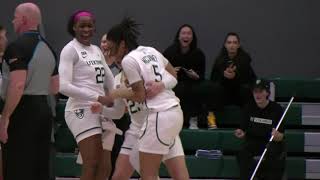 2023 the Year of Buzzer Beaters  WBB Compilation [upl. by Stefan]