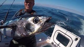 INSANE Oregon Coast Albacore Tuna Fishing [upl. by Nnyleve]