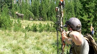 SHOOTING BULL MOOSE AT 105 YARDS [upl. by Drareg611]