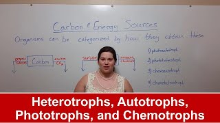 Heterotrophs Autotrophs Phototrophs and Chemotrophs [upl. by Creath]