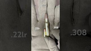 22lr vs 308 Size Comparison [upl. by Yllib]