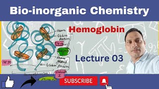 Hemoglobin  Hemoglobin Structure  Hb hemoglobin hemoglobin structure Hb structure [upl. by Gnas]