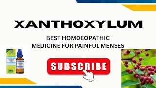 XANTHOXYLUM  BEST HOMOEOPATHIC MEDICINE FOR PAINFUL MENSES  DYSMENORRHOEA [upl. by Mercola455]