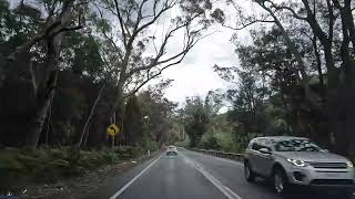 Sydney Warriewood to Forestville Dirving Tour  Sydney Driving  Sydney Australia [upl. by Wendolyn]