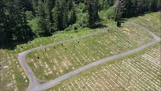 Crescent City cemetery behind the trees [upl. by Pavlish]