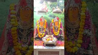 3 October 2024  Navratri status video  Shitla Mata  navratri maa song shortvideo [upl. by Esli476]