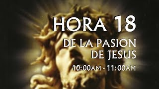 18 de 24 I Horas de la Pasión de Jesús Luisa Piccarreta Divina Voluntad [upl. by Rimidalv]