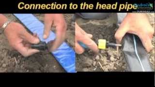 Drip irrigation installation  Dubois Agrinovation [upl. by Ycnahc185]