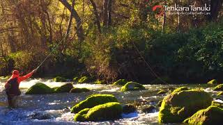 Fishing with Tenkara Tanuki XL1 Rod [upl. by Esmerolda]