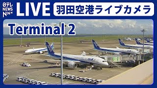 【ライブカメラ】羽田空港 quotT2quot HANEDATokyo International Airport（日テレNEWS LIVE） [upl. by Filberte]