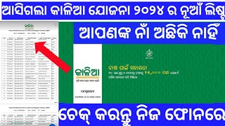 How to check Kalia yojana 2024 new list  2024 ra Kalia yojana nua list kamiti check Kariba odia ✅ [upl. by Fredette916]