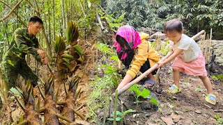 The man looks for bamboo shoots to sell while the woman and child take care of the vegetable garden [upl. by Ocirnor]