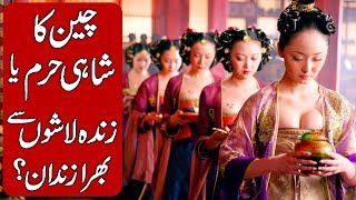 History of The Ming Dynasty Concubines Hindi amp Urdu [upl. by Bryna890]